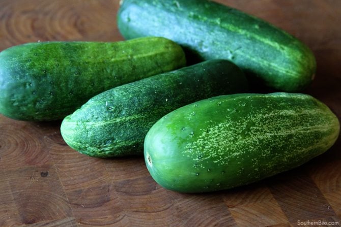 The cool and creamy flavors of this Creamy Cucumber Salad make it the perfect summertime side recipe! 