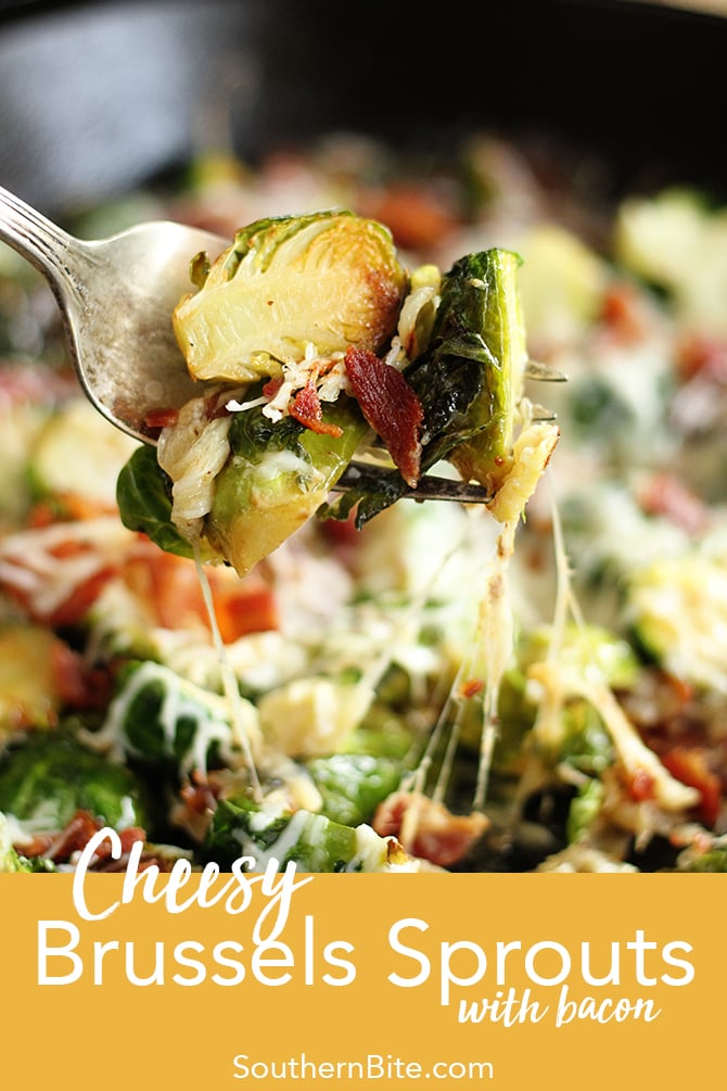 These Cheesy Brussels Sprouts with Bacon are so easy they're perfect for a busy weeknight but they taste so good they seem worthy of the holidays! It's the perfect recipe! 