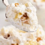 Spoonful of Pineapple Walnut Salad.