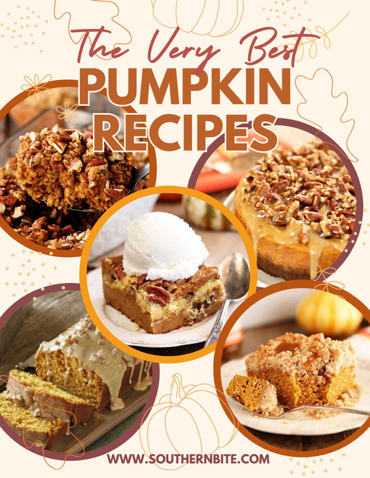 Best Pumpkin Recipes - image for Pinterest.